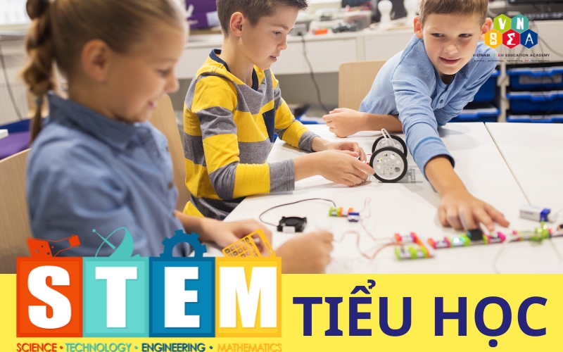 STEM tiểu học là gì