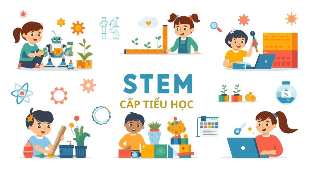 Chương Trình Giáo Dục STEM Cấp Tiểu Học Toàn Diện